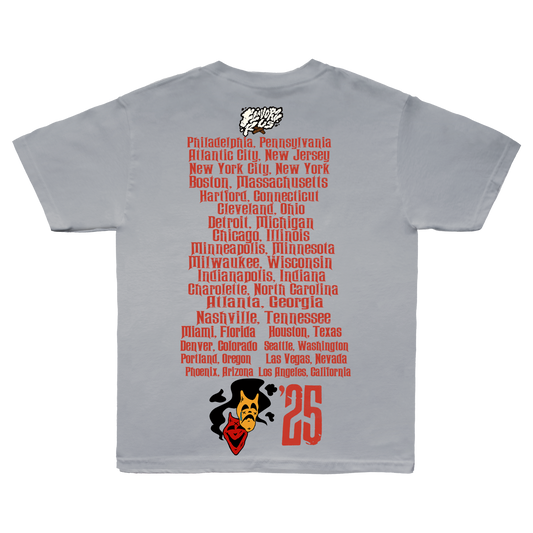 FLAVORZ R US "WORLD TOUR 25" GREY SHIRT